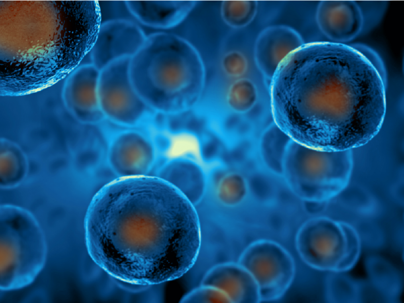 Eukaryotic Cells-01