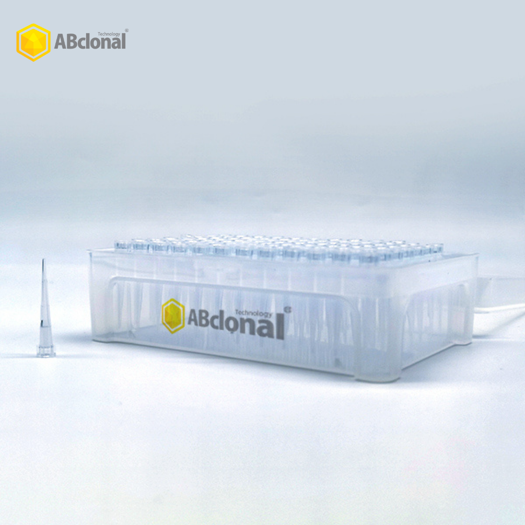 Pipette Tip copy