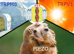 06598310-a735-468e-98a6-cf3a82f05df2