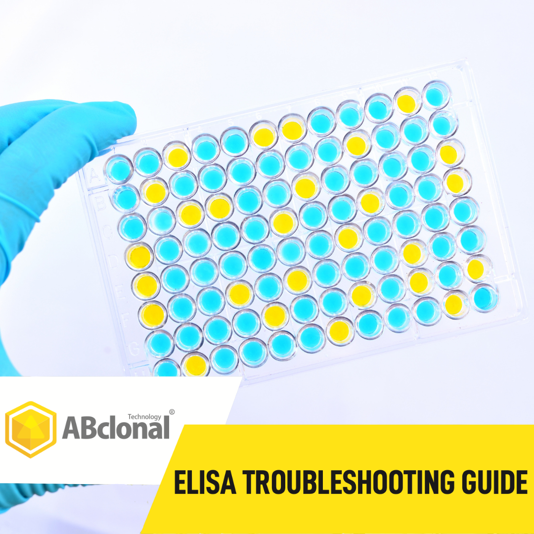 WP2-ELISA
